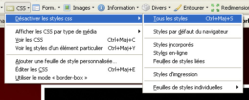 Désactiver les CSS avec le module Web Developper